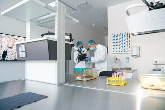 Scientists Working At Ethical Animal Research Laboratory