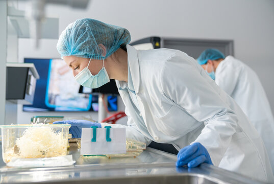 Researchers Working At Ethical Animal Research Lab