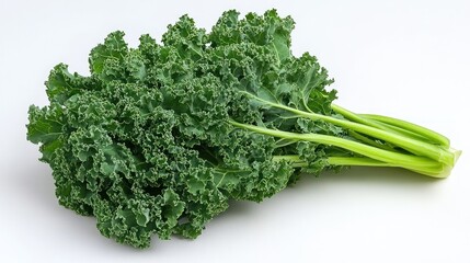 Fototapeta premium Fresh Green Kale Bunch