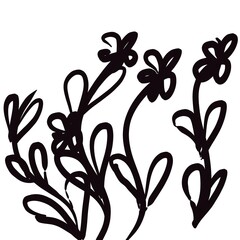 abstract floral background isolated on white background