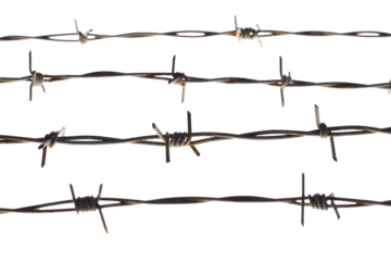 Barbed Wire Fence Close-up Texture and Pattern of Sharp Metal Wire