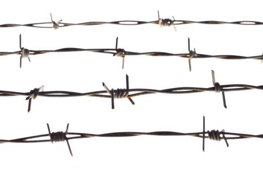 Barbed Wire Fence Close-up Texture and Pattern of Sharp Metal Wire