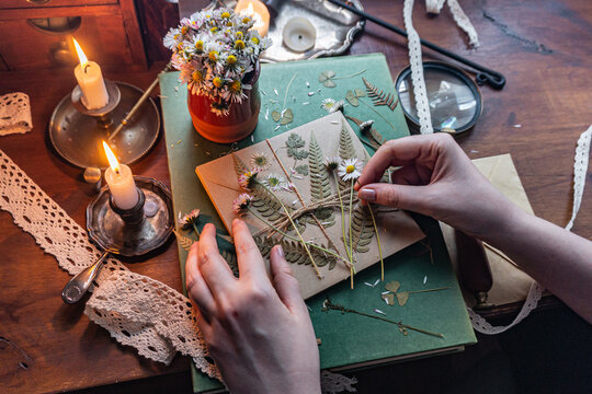Creating art with dried flowers