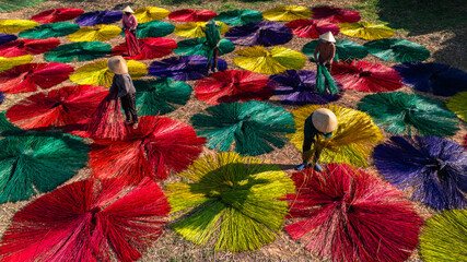 Drying sedge in the sedge growing area, raw material for weaving mats, the sedge has been dyed with...