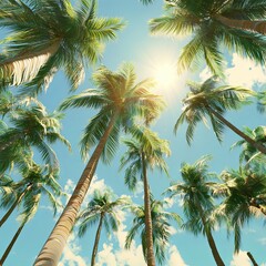 Tropical palm trees in the sun