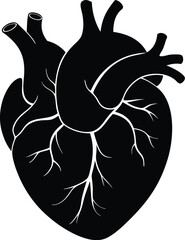 Heart Silhouette Vector, Human Heart Icon Clipart