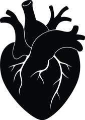 Heart Silhouette Vector, Human Heart Icon Clipart