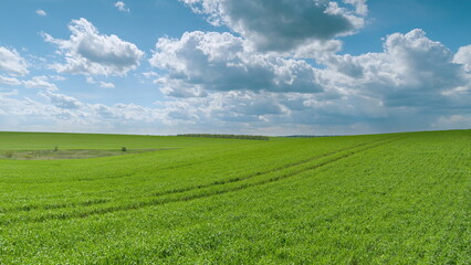 Expansive and Vast Green Fields Spreading Under a Brilliant Blue Sky Filled with Fluffy Clouds Time lapse.