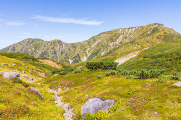 日本の風景・秋　立山黒部アルペンルート　紅葉の天狗平
