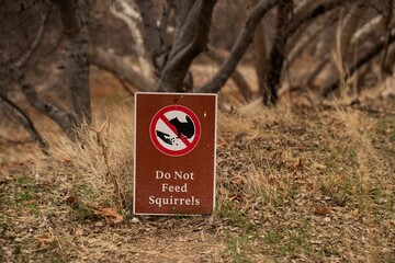 Do Not Feed Squirrels Sign Outdoors