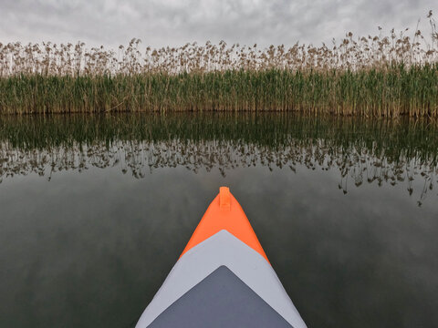Kayak nose pointing towards reeds. Graphic image. 