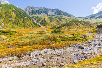 日本の風景・秋　立山黒部アルペンルート　紅葉の雷鳥沢