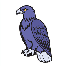 Fototapeta premium Purple eagle in profile view. Bird in stationary pose against a plain white background. Wildlife graphic. Use for mascot, logo design, or wildlife educational material.
