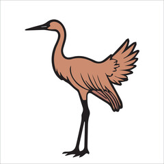 Fototapeta premium Brown crane in profile view, standing in a natural setting. Side view of crane with spread wings, against a plain white background.