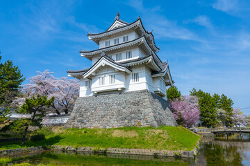 Blue Sky Spring Day At Oshi Castle