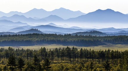 A serene vista of layered mountain ranges beyond a forested valley.