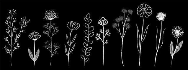 Flowers, herbs, leaves, doodle brush style on black background. Hand drawn white color elements set. 