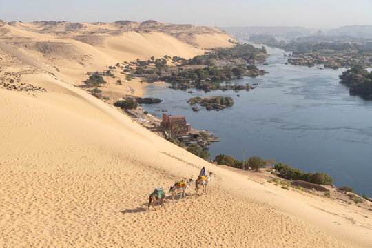Desert Landscape with Camels and River