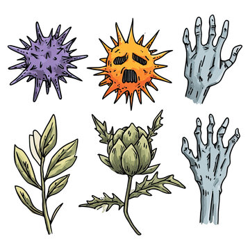 Anti inflammation concept. Colorful illustrations of unique plants and creative designs.