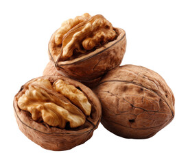 Nut harvesting action orchard food rustic environment view healthy concept isolated on transparent background