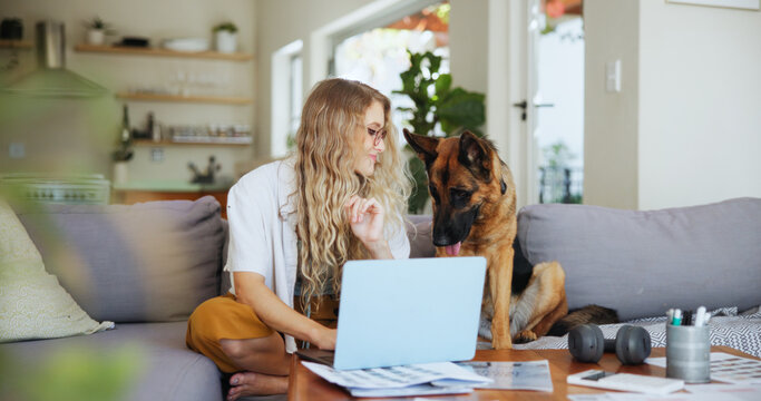 Laptop, relax and dog with woman on sofa for pet insurance research, premium benefits and post. Animal policy cover, typing and application with person and german shepherd at home for vet claims