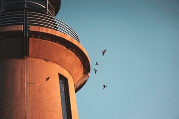 Swallows and nests on lighthouse in Kennewick Washington