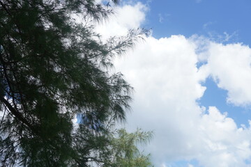 Obraz premium sky and clouds