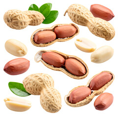 Peanuts in Shell, Shelled, and Leaves:  High-Resolution Images with Transparent Background