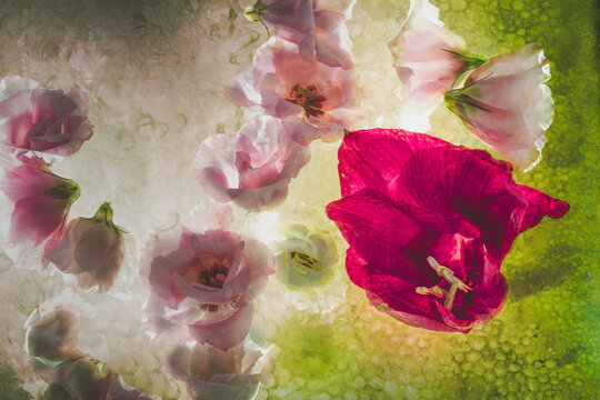 Naklejki Flowers with a microscopic detail of a flower in the background.