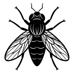 Black and White Fly Silhouette Graphic - Detailed Insect Pest Illustration