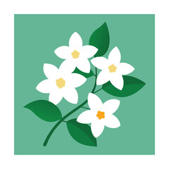 spring flowers on a white background