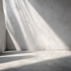 Sunbeams illuminate a minimalist, empty room with a textured concrete wall and floor.  The light creates strong shadows