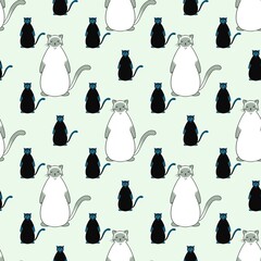 Picture of a cute standing brown and white cat.