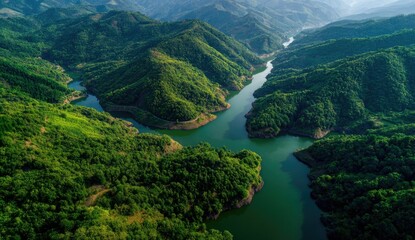 Aerial view of a winding river valley, lush green forests