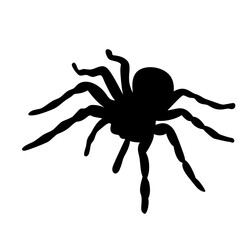 Cute Spider Halloween