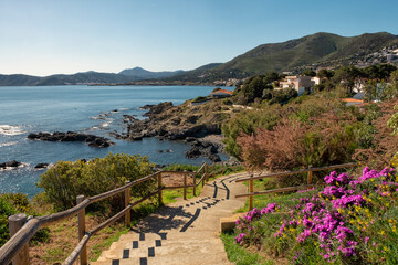 Wildflowers and seaside walkway overlooking Port de la Selva.