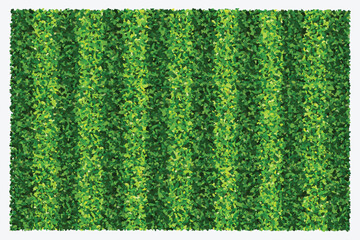 Green grass field background for sports and recreation. Realistic green lawn pattern and texture for background. Vector illustration. © Lifestyle Graphic