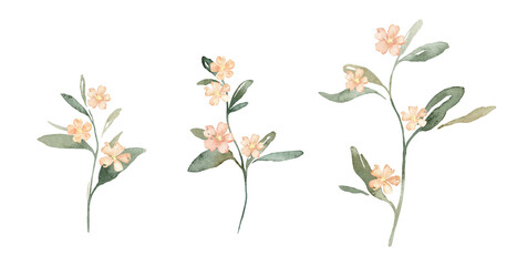 Watercolor set of pink flowers spots and green leaves. Hand drawn illustration buds on isolated white background. Soft pastel iridescent watercolors.