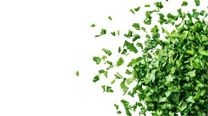 A top down view of chopped parsley  with negative space on the left side isolated on transparent background