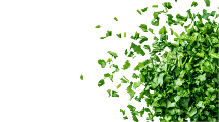 A top down view of chopped parsley  with negative space on the left side isolated on transparent background