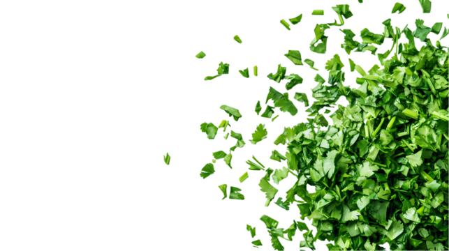 A top down view of chopped parsley  with negative space on the left side isolated on transparent background