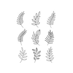 Line art leaf illustration vector on white background