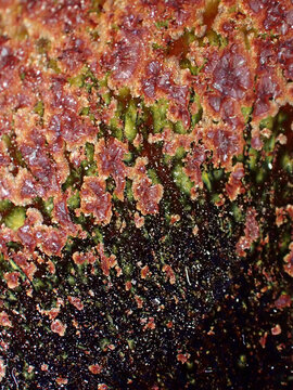 Textured background of microscopic glaze of Chinese ceramics tea cup
