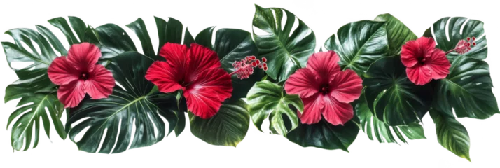  Red hibiscus flowers and lush green tropical leaves arranged in a vibrant decorative pattern. Png, Transparent background. © Oulaphone