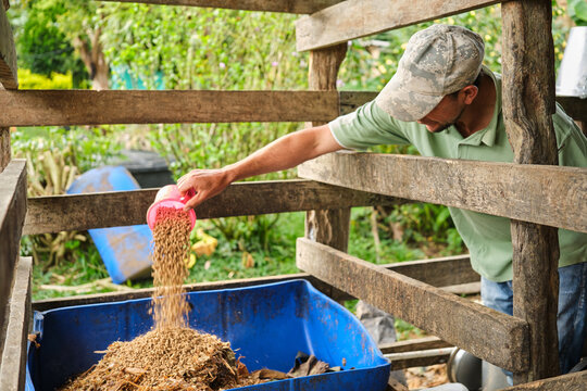 Farmer pouring animal feed into container on farm