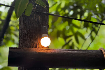 A glowing bulb creates a circle of warmth amid the green, its light caught in the textures of bark and beam, hinting at quiet evenings and peaceful forest nights.