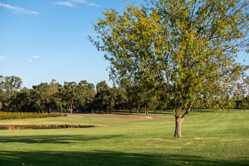 View of the green field with blue sky at vineyard