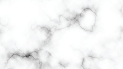 White Marble Texture with Soft Black Veins