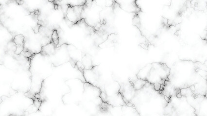 Abstract White Marble Texture with Fine Black Veins