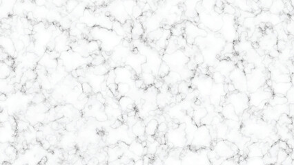 White Marble Background with Fine Natural Veins Texture